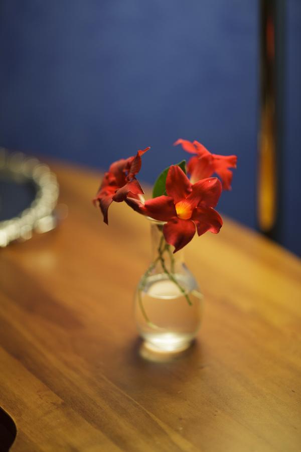 Hotel Relais Filonardi Veroli エクステリア 写真